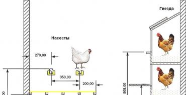 Как построить тёплый курятник своими руками